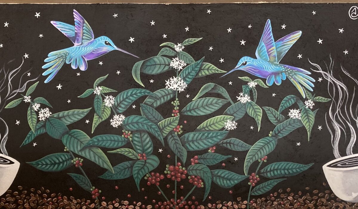 Colibris y Cafe
