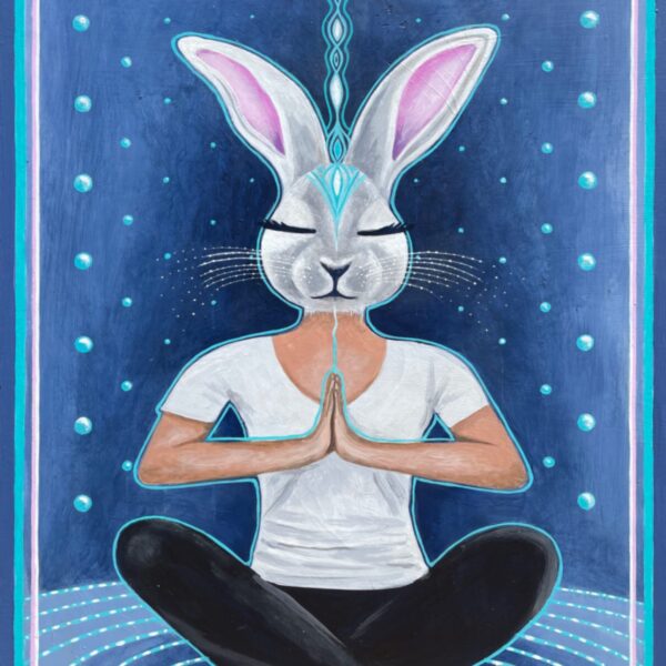 Zen Bunny 2