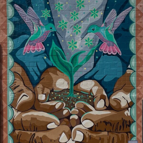 ‘Infinite Growth’